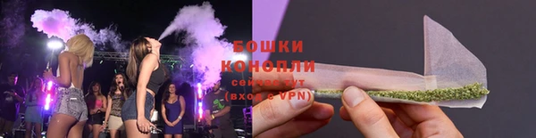 сатива Богородск