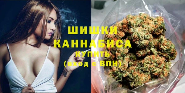 индика Саяногорск