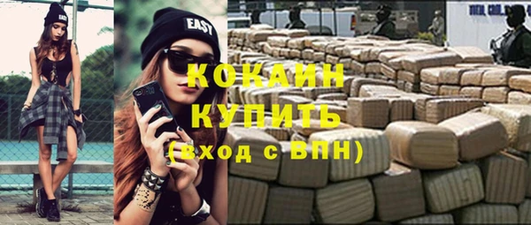 крисы Сатка
